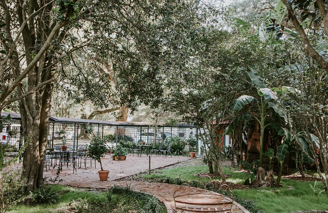 Maison Mouton Bed & Breakfast-1